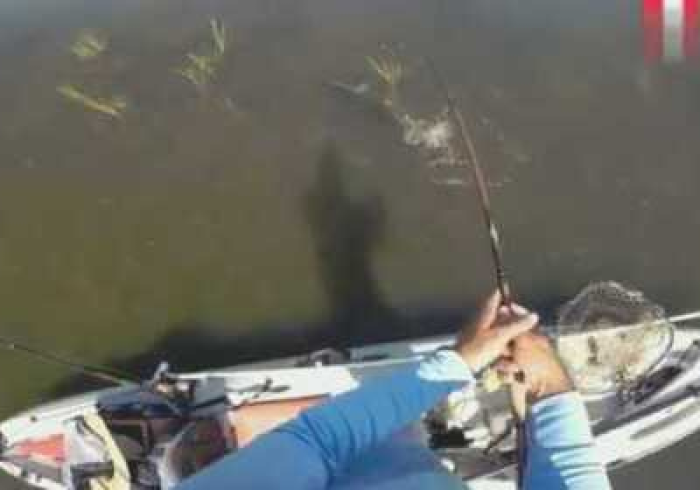 我来告诉你“大眼双扣(捕鱼)到底是不是挂”-详细教程 我来告诉你“大眼双扣(捕鱼)到底是不是挂”-详细教程