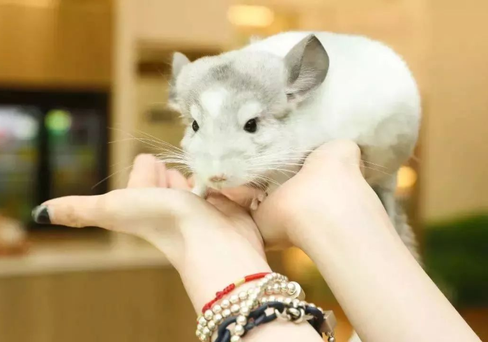 (实测辅助推荐)wepoker透视挂作弊挂透视挂(必备神器)”其实真的确实有挂