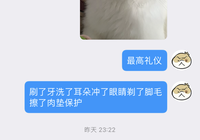 教程辅助!“开心十三张究竟有挂吗(透视)!,难怪经常输-教程